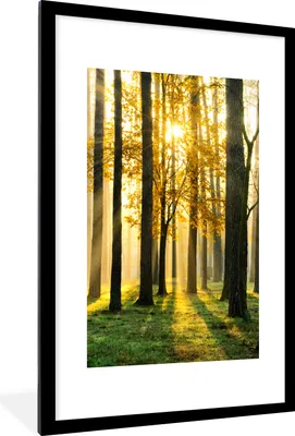 Produktbild von MuchoWow® Gerahmtes Poster Wald - Sonne - Bäume - Gras - Landschaft - Natur 60x90 cm - Poster mit Schwarzem Bilderrahmen Wandposter Rahmen Foto Bilder - Dekoration - Wandposter Wohnzimmer - Hochwertig