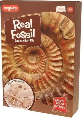 Produktbild von Keycraft Experimentierkasten Magnoidz Fossil Suchset