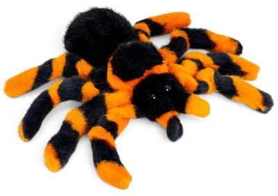 Obrázek produktu pro Plyšová hračka Carl Dick Vogelspinne, 20 cm, plyšový zvířátko, měkká hračka, model 3835