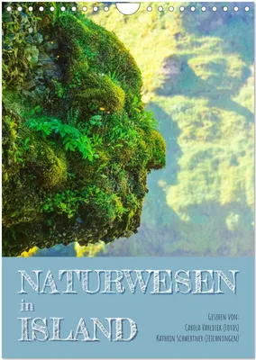 Produktbild von The Menopause