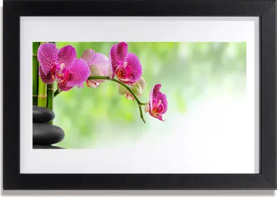 Produktbild von Bild 30x20 MDF-Rahmen Wandkunst Natur Bambus Blume