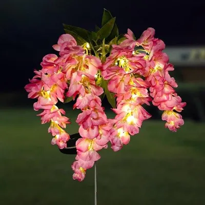 Immagine prodotto di Illuminazione da giardino a energia solare, IP65, impermeabile, blu e rosa, confezione da 1