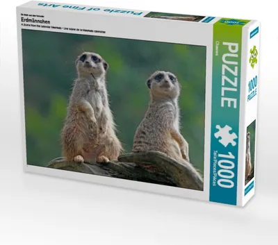 Produktbild von Calvendo Ein Motiv aus dem Kalender Erdmännchen 1000 Teile Puzzle quer 640x480mm, CALVENDO; 7322068