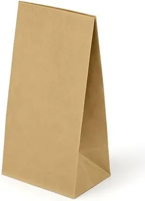 Image de Sac en papier écologique 100 x 70 x 260 Marron