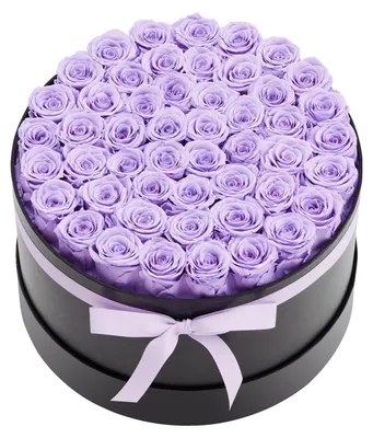 Produktbild von VEVOR Ewige Blumen, 100 konservierte Rosen in einer herzförmigen Box, ewige Blumen unsterblicher Strauß Geburtstagsgeschenk für Frauen, Ehefrauen, Mütter, Jubiläum, Valentinstag, Weihnachten, Rot, Rund-c, Lila-a