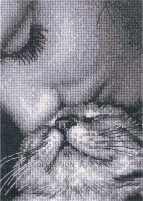 Produktbild von RTO Kreuzstich Stickpackung "Bewunderer", Zählmuster, 9x12cm