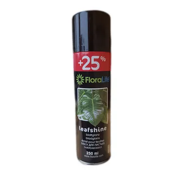 Produktbild von FLORALIFE® Blattglanz - 250 ml - 1 Stück