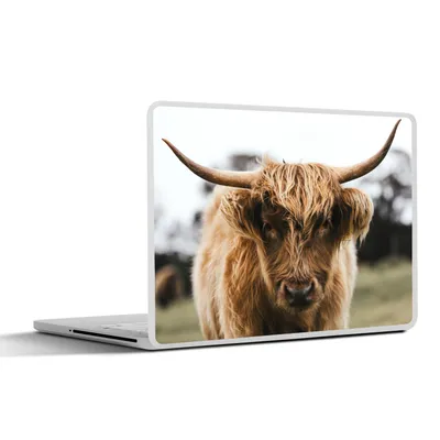 Produktbild von MuchoWow® Laptop Aufkleber Sticker Cover Schottischer Highlander - Kuh - Gras - Tiere - Natur 30x21 cm - Sticker für Laptop - Selbstklebend