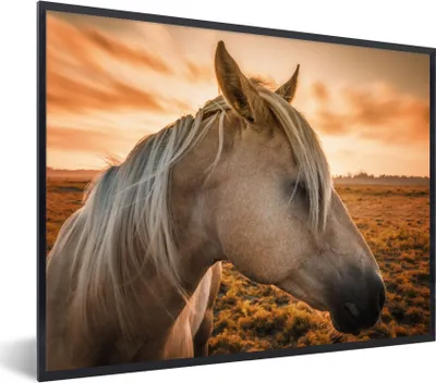 Produktbild von MuchoWow® Gerahmtes Poster Pferd - Tiere - Porträt 80x60 cm - Poster mit Schwarzem Bilderrahmen Wandposter Rahmen Foto Bilder - Schwarzem - Mit Gestell