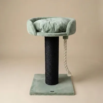 Produktbild von RHRQuality Kratzbaum für große Katzen – Chartreux – 80 cm hoch – Mit extra dickem 20 cm Sisalstamm – Liegefläche von ⌀60 cm – Blackline Beige