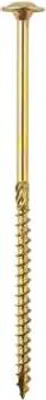 A single gold-colored screw is shown against a white background.