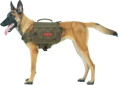 Immagine prodotto di Zaino da trasporto per cani Unyqoos® Mammoth 2.0 – Realizzato in nylon di qualità militare, taglia L (adatto per cani di taglia media/grande), colore verde ranger, 2 tasche laterali da 3 litri, tessuto a rete traspirante, cintura ventrale UTX-Duraflex, passanti per applicazioni da 5x7,5 pollici