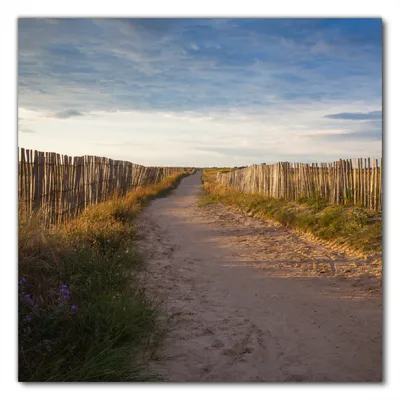 Produktbild von Wallario selbstklebende Möbelfolie/ Tischdecke für Innen und Außen, Größe: 70 x 70 cm - Sandweg an einem Strand in Frankreich, Bretagne