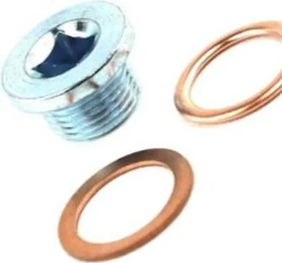 A metal screw plug and two copper washers are shown on a white background.