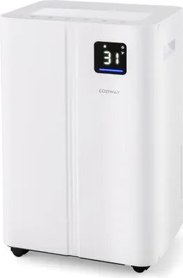 A white dehumidifier with a digital display showing '31' is shown from a slight angle.