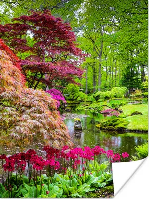 Produktbild von MuchoWow® Poster Bäume - Blumen - Japanisch - Natur - Wasser 120x160 cm - Wandbilder