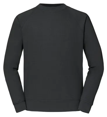 Image de Fruit of the Loom - Sweat-shirt « Classic » pour hommes/femmes, manches raglan, LT2391 (S) (gris clair uni)