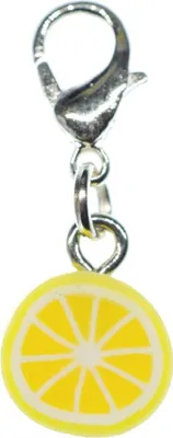 Produktbild von Zitrone Charm Miniblings Zipper Pull Anhänger Orange Limette Frucht Scheibe