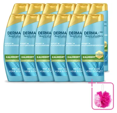 Obrázek produktu pro 12 kusů šamponu Head & Shoulders DermaXPro proti lupům s obsahem aloe vera, objem 250 ml, výhodná balení