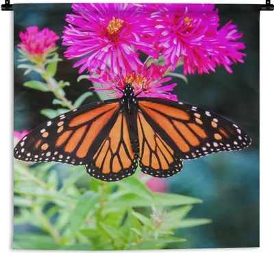 Produktbild von MuchoWow® Wandteppich Wandbehang Schmetterling - Botanisch - Blume 60x60 cm Tapisserie Dekoration Wandtuch - Dekorationen - Wand Decke