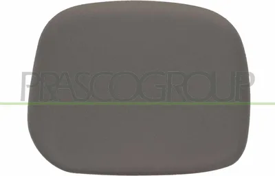 Produktbild von PRASCO PG9047414 Außenspiegel Abdeckung Kappe Links für CITROËN Berlingo / Berlingo First (MF, GJK, GFK) Spiegelkappe