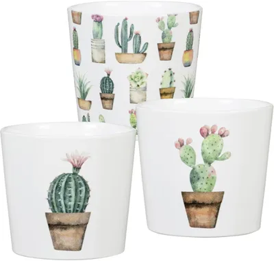 Produktbild von Scheurich Übertopf Serie 870 Ø 7 x 10 cm Kakteen