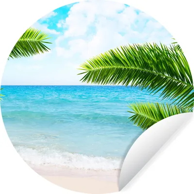Produktbild von MuchoWow® Runde Wandtattoo - Wandsticker Tapete Aufkleber Tropisch - Palme - Strand Ø 30 cm Selbstklebend und Repositionierbar - Wandaufkleber - Kreis - Wandbild - Fototapete - Selbstklebend - Dekoration - Wandschmuck - Schlafzimmer