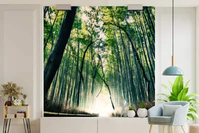 Produktbild von Bamboofoto Wandbild, 260 x 260 cm, Japaninspiriert