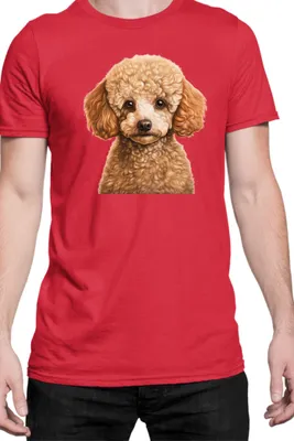 Obrázok produktu pre Mužské Tričko Dogs Breeds Poodle Dog Breed 005, Man L / Červená