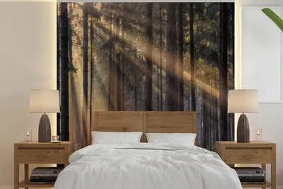 Produktbild von MuchoWow® Fototapete für Wohnzimmer oder Schlafzimmer Wandtapete Vinyl Motivtapete Bäume - Wald - Sonne - Pflanzen - 220x220 cm - Tapeten