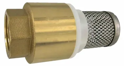 Image de Clapet de Pied 1 1/2 Pouce, Soupape Anti-Retour, Laiton, Inox