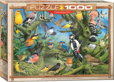Produktbild von 1000 Teile Puzzle Bunte Vogelwelt
