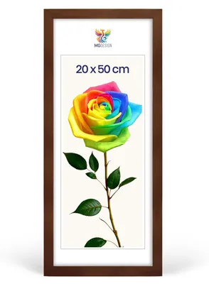 Produktbild von MG Design Bilderrahmen 20 x 50 cm - Posterrahmen mit Braun Holzrahmen (Echtholz) und bruchsicherem Acrylglas, Hoch & Quer mit stabiler Wandaufhängung