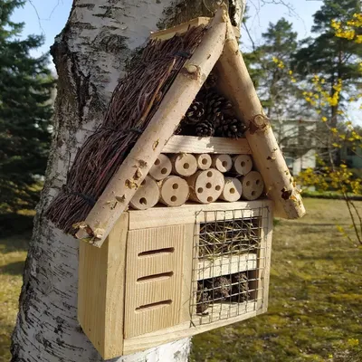 Produktbild von Insektenhaus XXL | BIRKE | 37 x 21 x 8 cm | Insektenhotel Bienenhaus Winterquartier Biene Nistkasten Brutkasten Schutz für Bienen Marienkäfer