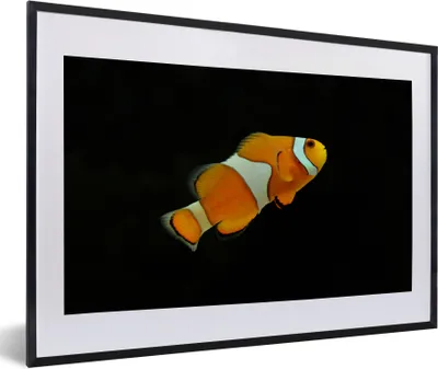 Produktbild von MuchoWow® Gerahmtes Poster Fisch - Linie - Schwarz 60x40 cm - Poster mit Schwarzem Bilderrahmen Wandposter Rahmen Foto Bilder - Schlafzimmer - Plakat in Rahmen - Drucken