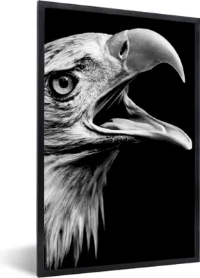 Produktbild von MuchoWow® Gerahmtes Poster Adler - Porträt - Raubvögel - Schwarz - Weiß - Vogel 60x90 cm - Poster mit Schwarzem Bilderrahmen Wandposter Rahmen Foto Bilder - Kunst