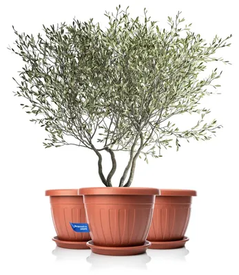 Image de Pot de fleurs rond avec soucoupe - Terre cuite - Lot de 3 - 50 cm