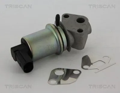 Produktbild von TRISCAN 8813 29044 AGR-Ventil mit Dichtungen für VW POLO (9N) Abgasrückführungsventil