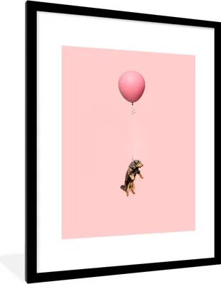 Produktbild von MuchoWow® MuchoWow® Gerahmtes Poster Dackel auf einem rosa Luftballon 60x80 cm - Poster mit zchwarzem Bilderrahmen - Wohnzimmer - Dekorationen - Prämie