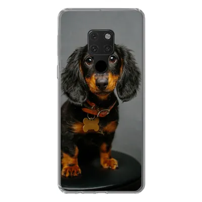 Produktbild von MuchoWow® Handyhülle Schutzhülle Hülle für Huawei P40 Lite Studiofoto eines Dackelwelpen Silikon Softcase Handy Hülle - Handy