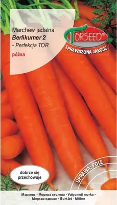 Zdjęcie produktu dla Marchew późna berlikumer 2 Perfekcja TOR 500g - Torseed