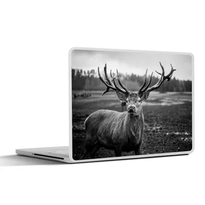 Produktbild von MuchoWow® Laptop Aufkleber Sticker Cover Tiere - Hirsch - Geweih - Schwarz und weiß - Natur 32.5x23.5 cm - Sticker für Laptop - Selbstklebend