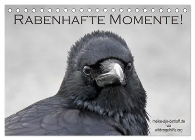 Produktbild von Rabenhafte Momente! (Tischkalender 2027 DIN A5 quer), CALVENDO Monatskalender