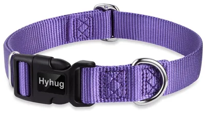 Produktbild von Klassisches Nylon-Halsband für Hunde mit Sicherheitsverschluss, geeignet für kleine Hunde