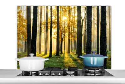 Obrázok produktu pre MuchoWow® Splashback Kuchyňa - Kuchynský backsplash - Ochrana steny pre sporák a drez Les - Slnko - Stromy - Tráva - Krajina - Príroda 100x65cm