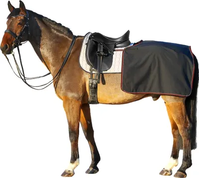 Produktbild von Euroriding Softshell Nierendecke