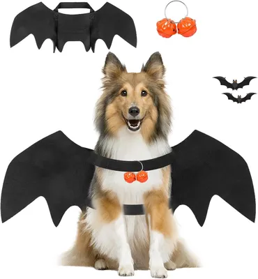 Produktbild von Katzen Halloween kostüm Hund Fledermaus flügel,Fledermausflügel Hund,Halloween Fledermauses Hundekostüm,Einstellbar Hunds Fledermauses Flügel,Cosplay Dekoration Halloweenes Haustier Kostüm