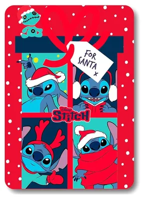 Image de Couverture polaire de Noël Disney Stitch