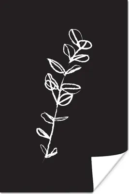 Produktbild von MuchoWow® Poster Linienkunst - Pflanzen - Botanisch 20x30 cm - Papierdruck