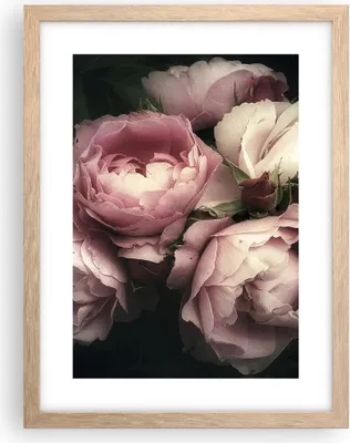 Produktbild von Gerahmtes Poster - Rahmen in heller Eiche - Pfingstrose Blume - 30x40 cm - Wand Bild - Wanddeko - Wandbilder - Wandposter - Bilderrahmen - Bilder - Kunstdruck - Wandbild - P2NPA30x40-3930